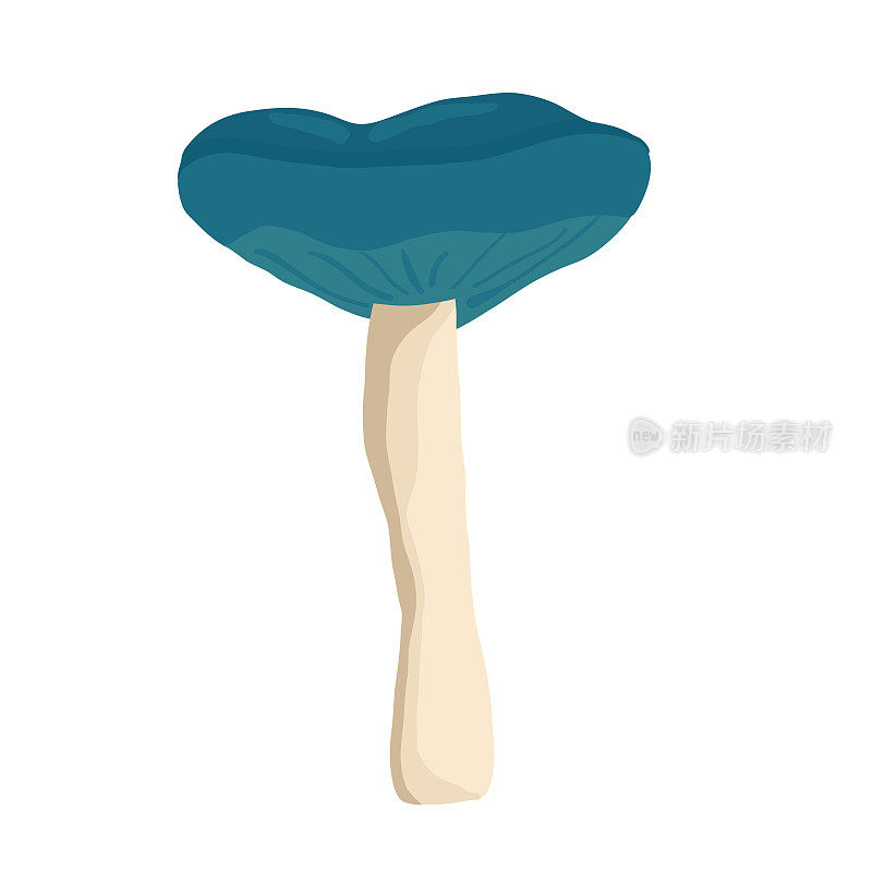 手绘风格的蘑菇。迷幻抽象蘑菇，嬉皮风格。矢量插图孤立在白色背景上。