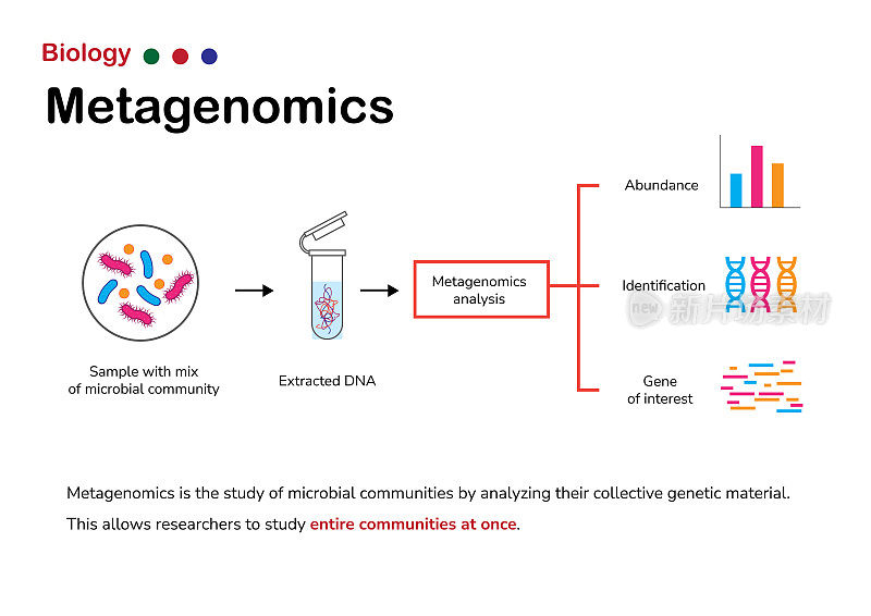 宏基因组学是研究整个微生物群落遗传物质的微生物学领域。