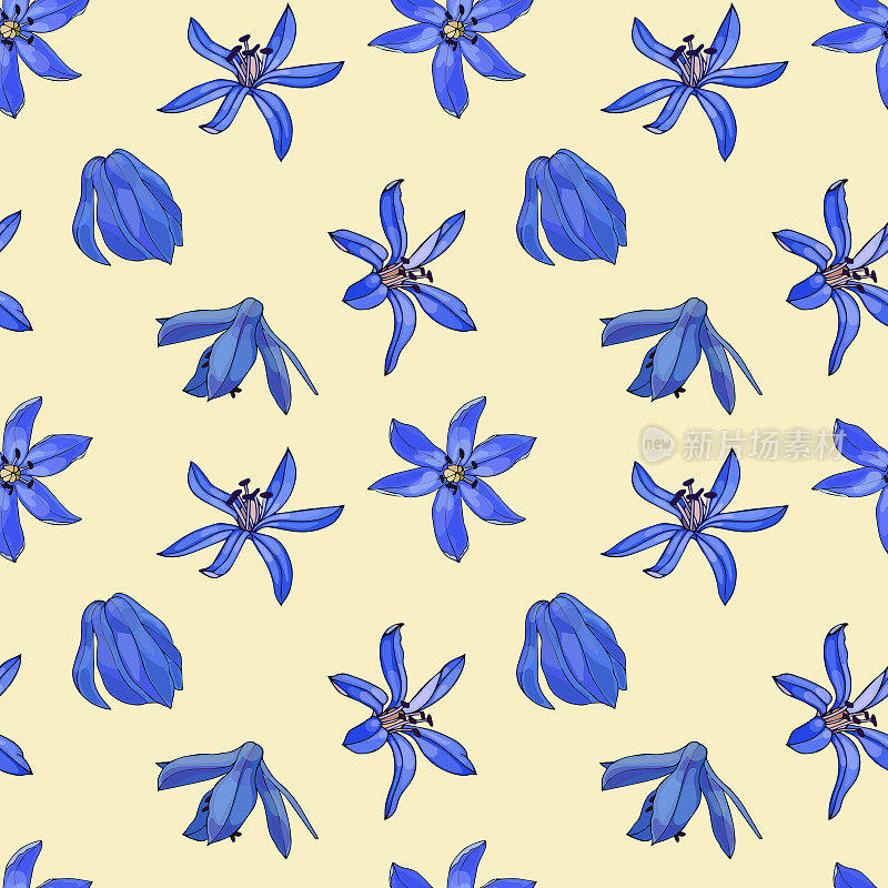 春天樱草花雪花莲图案无缝。蓝色的花蕾。绘画涂鸦植物素描。