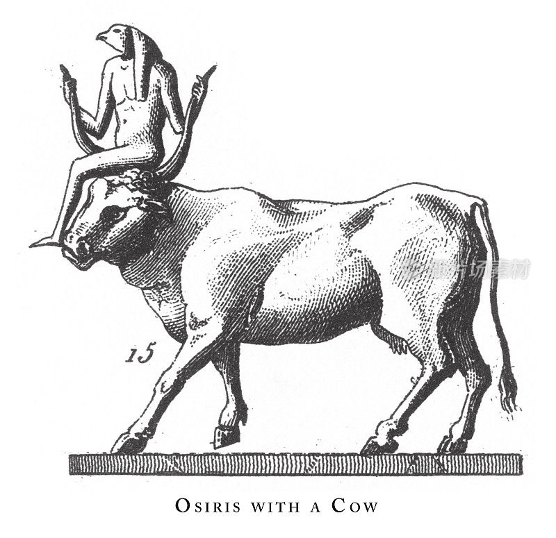 奥西里斯与牛:埃及神和宗教符号雕刻古董插图，出版1851年