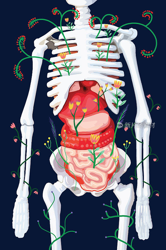 人的骨架和花朵