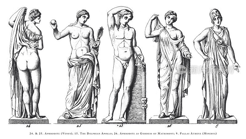 阿芙罗狄特(维纳斯)，德尔菲的阿波罗，阿芙罗狄特作为婚姻女神，雅典娜(密涅瓦)，阿芙罗狄特和其他女神和神雕刻古董插图，出版1851年