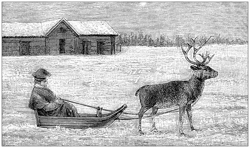 古董插图:拉普兰雪橇