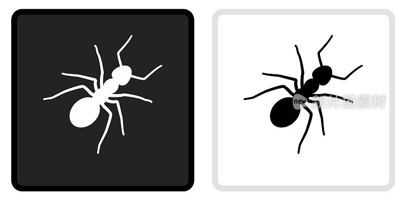 蚂蚁图标上的黑色按钮与白色翻转