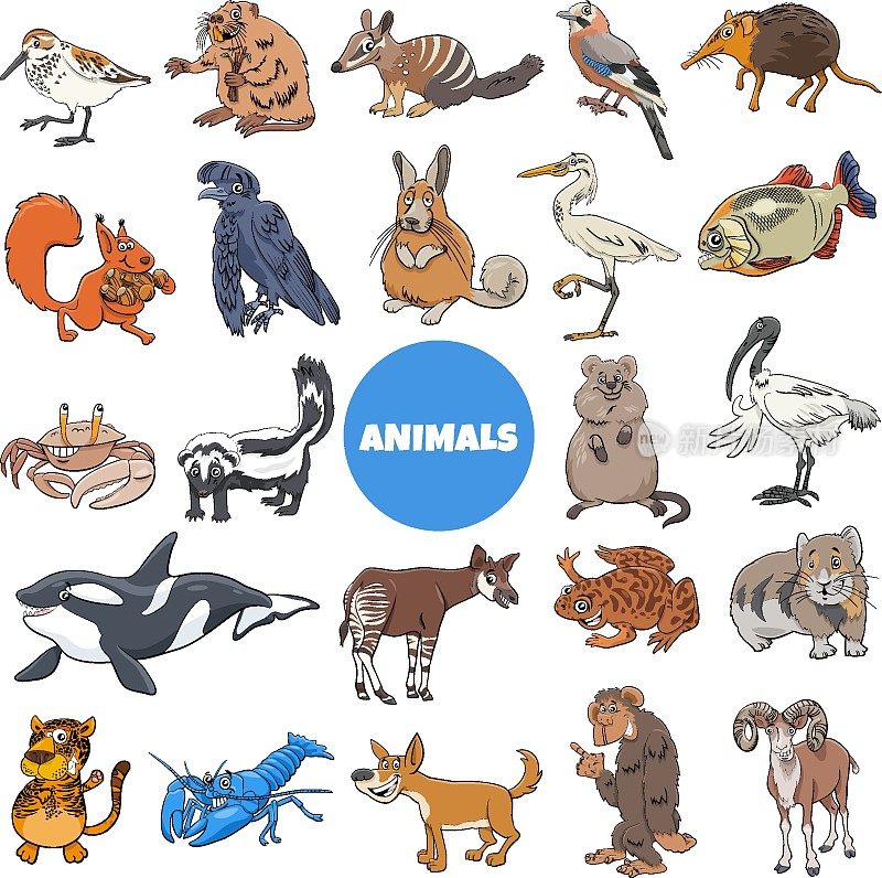 卡通野生动物物种大集合