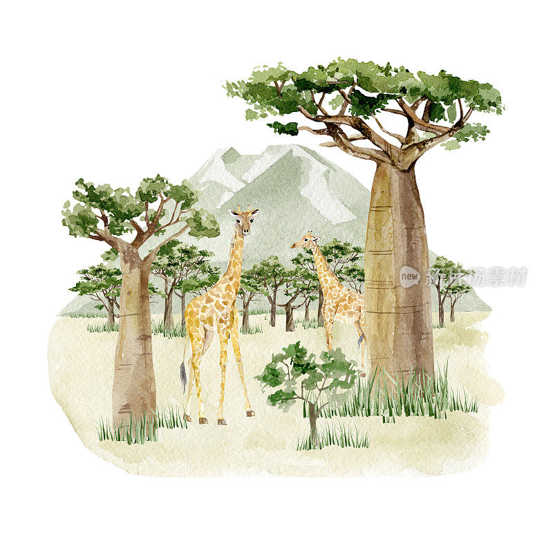 水彩草原野生动物插图。非洲景观由树木、长颈鹿和绿色的山组成。墙艺术打印。幼儿园小装饰。