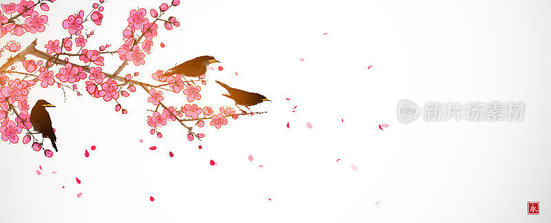 鸟儿坐在盛开的樱花枝上。传统东方水墨画梅花、梅花、梅花。象形文字——永恒