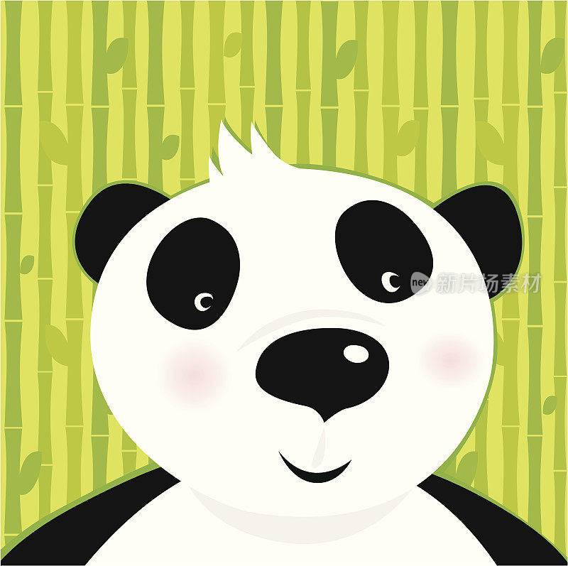 黑白相间的熊猫在竹叶绿色的背景上