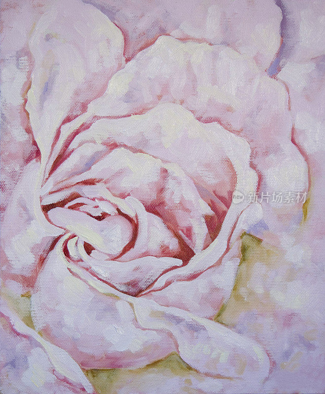 粉色玫瑰的特写油画
