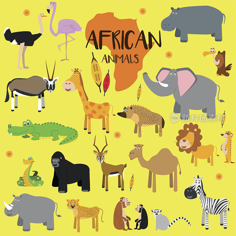 非洲动物矢量插图集