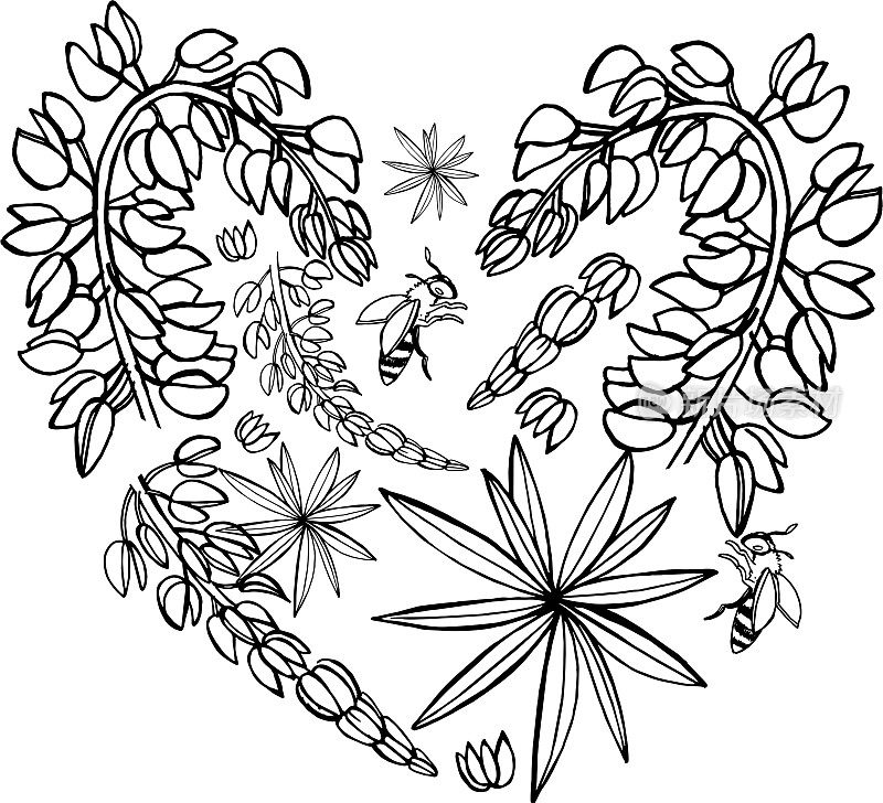 线艺术的花，叶子，蜜蜂，心形状的花，黑白插图，剪影的花