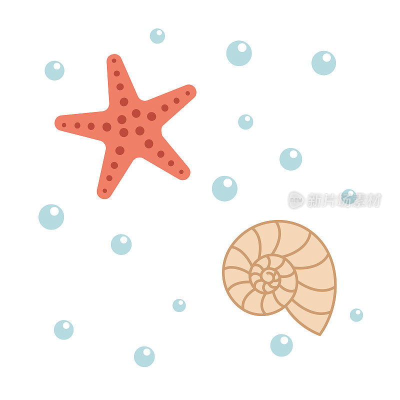 贝壳和海星平面矢量插图孤立的白色背景
