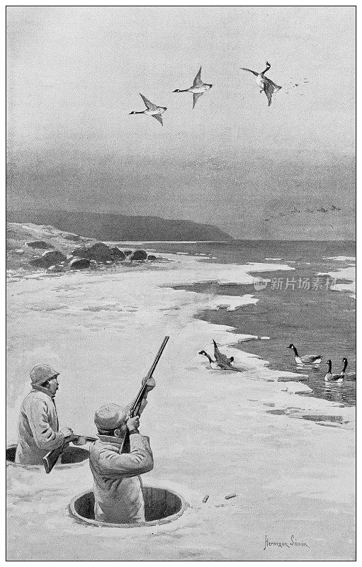 1897年的运动和消遣:猎鸭
