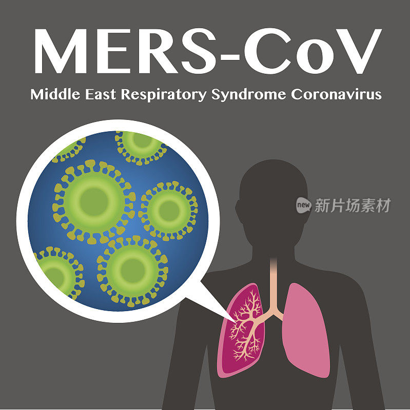 MERS-CoV(中东呼吸综合征冠状病毒)图像说明