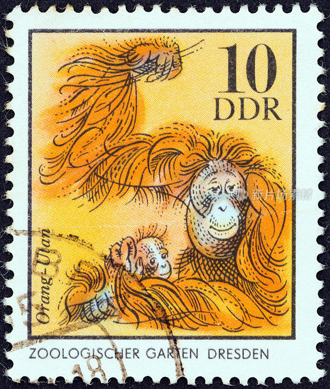 德国邮票显示猩猩(1975年)