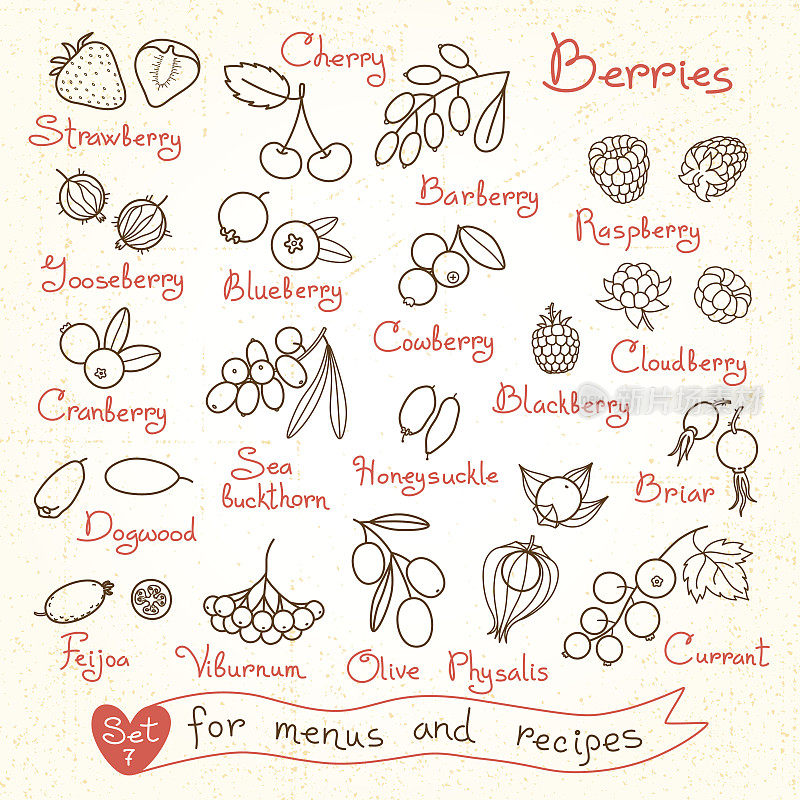 为设计菜单，食谱和包装设置浆果的图纸