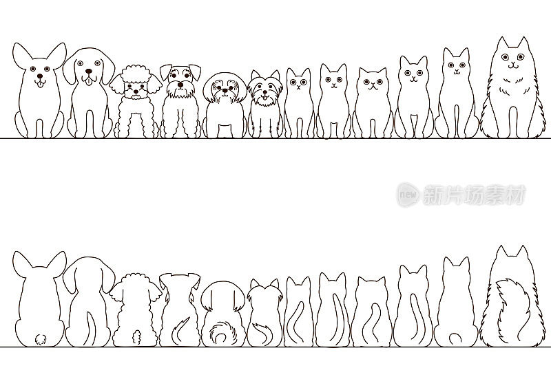 猫和小狗边框设置，前视图和后视图