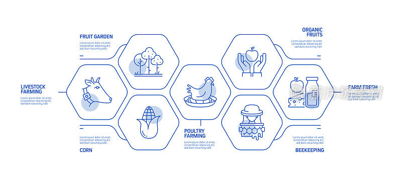 农业和农业相关过程信息图模板。过程时间图。带图标的工作流布局