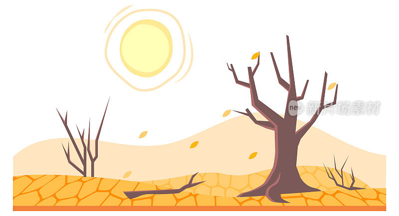 干旱的土地或干燥的沙漠土壤与死树