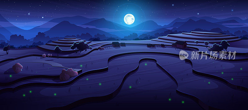 夜间稻田梯田在亚洲景观的景象