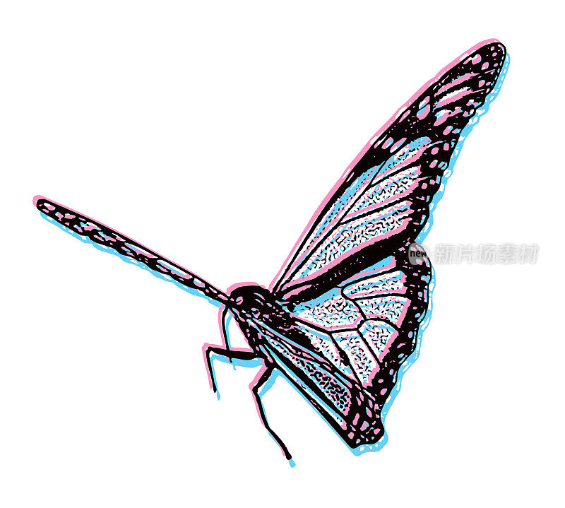 孤立在白色背景上的黑脉金斑蝶的立体插图