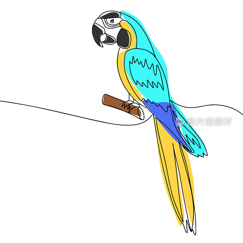 手绘鹦鹉蓝黄相间的线条艺术风格，一种延续色彩。矢量插图。