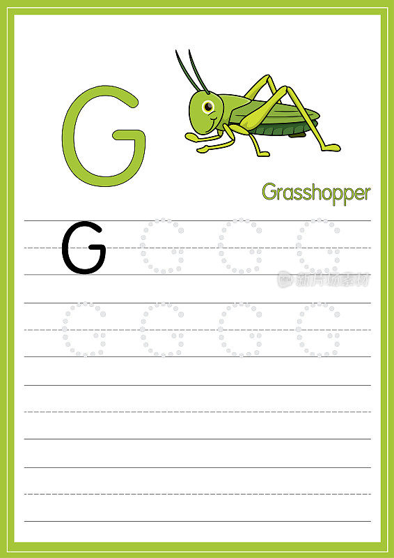 矢量插图蚱蜢孤立在一个白色的背景。以大写字母G作为教学和学习媒体，供儿童识别英文字母或供儿童学习写字母用于在家里和学校学习。