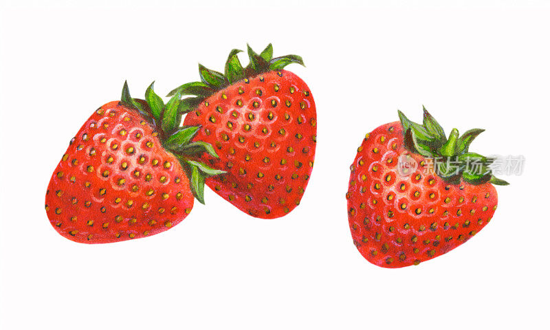 草莓三