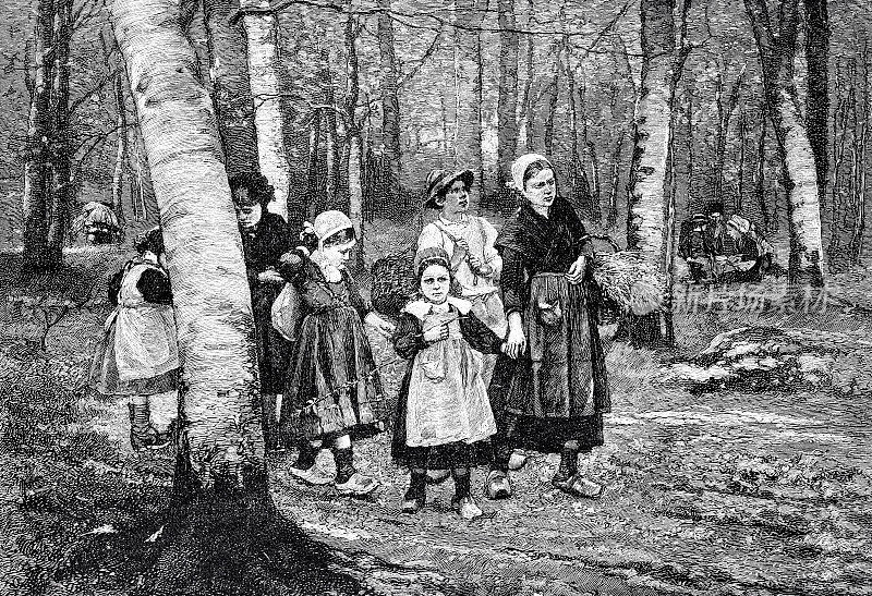 孩子们和妈妈们提着篮子在森林里散步