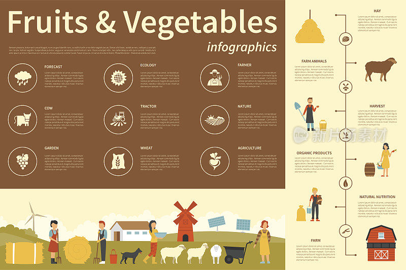 水果蔬菜信息图平面矢量插图。演示的概念