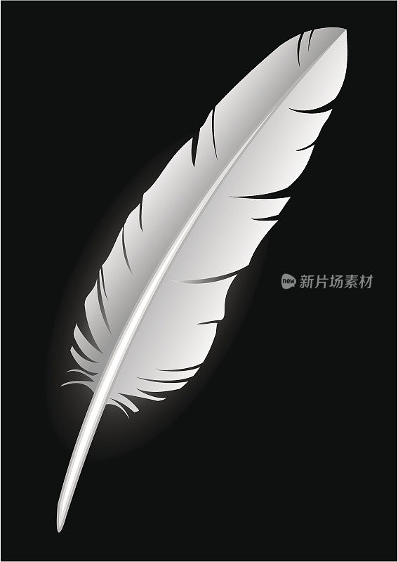 羽毛――黑色上的白色(矢量)
