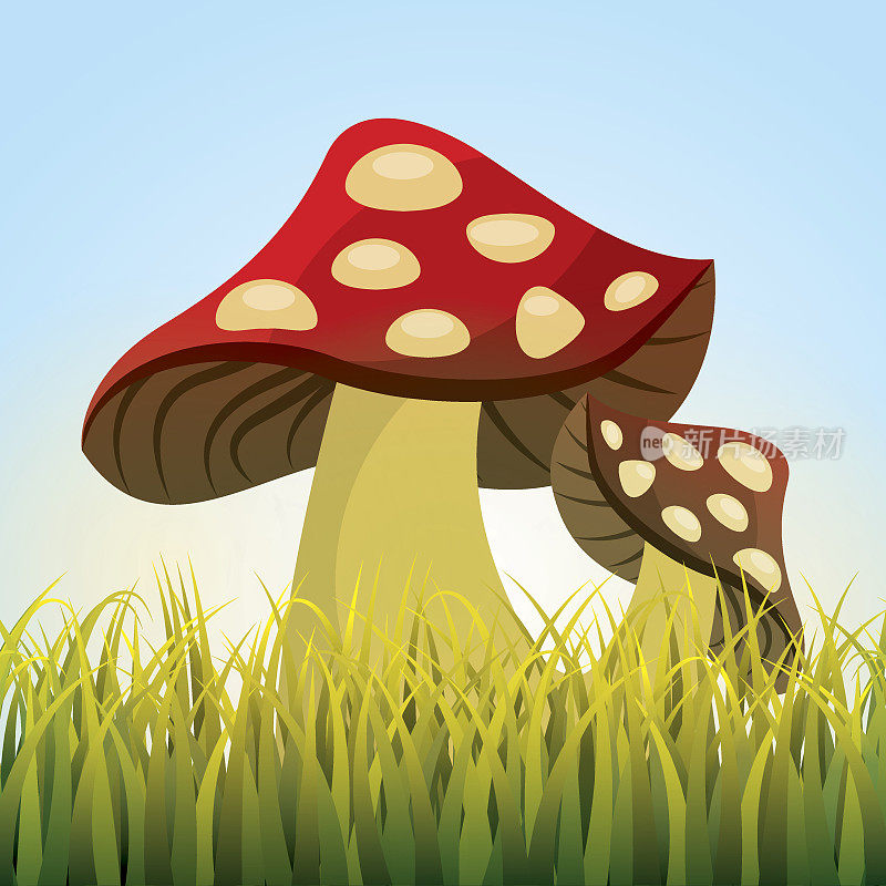 可爱的绘仙蘑菇