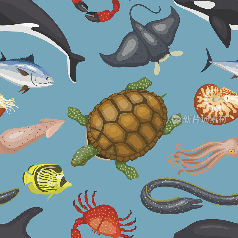 海洋动物插图热带特征野生动物海洋水生热带鱼类无海豹模式向量背景