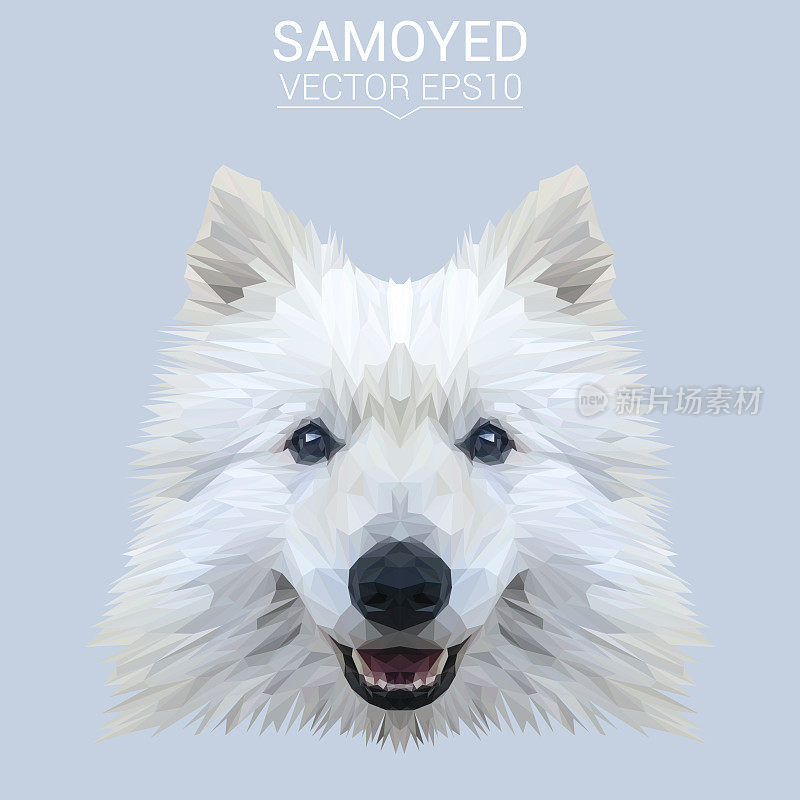 白色萨摩耶犬动物低聚设计。三角形矢量插图。