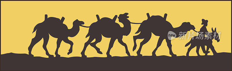 骆驼的动物