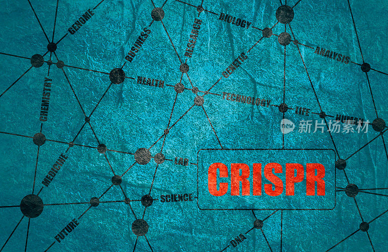 CRISPR系统用于编辑、调节和定位基因组词汇云