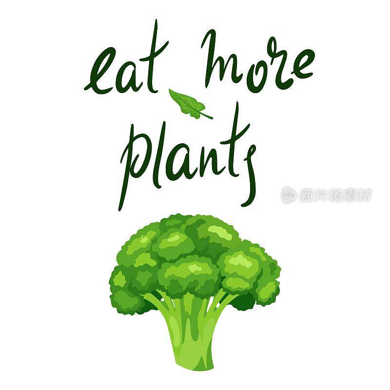 励志名言:多吃植物。健康食品。手写字母动机插图为您的设计与绿色蔬菜花椰菜
