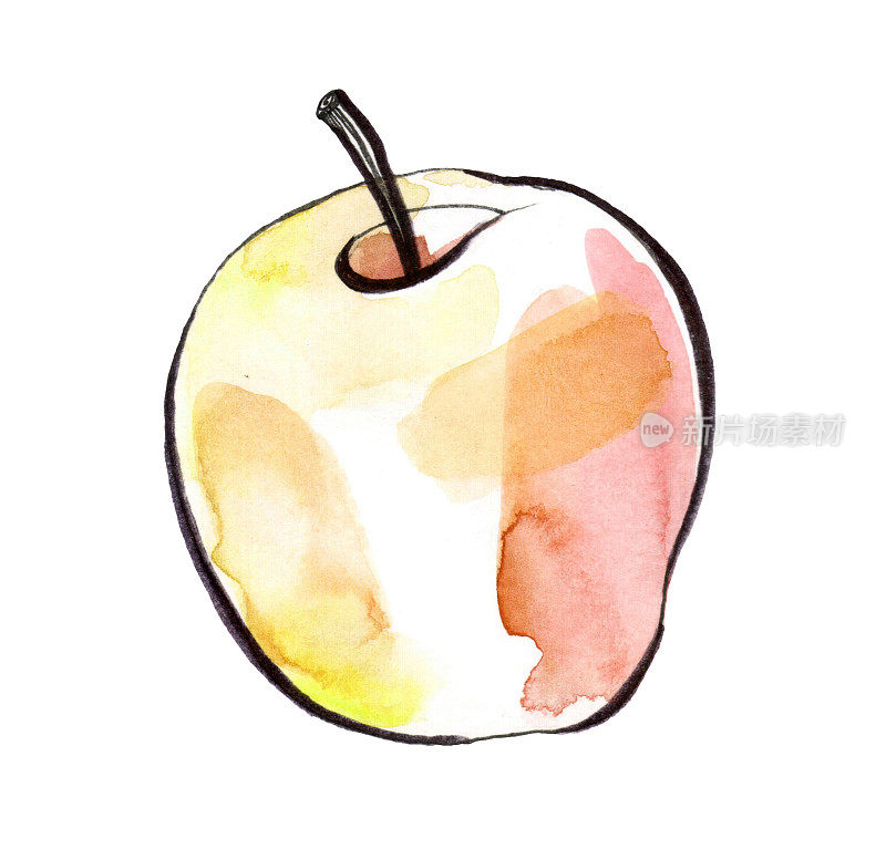 苹果孤立在白色背景上。画一个苹果
