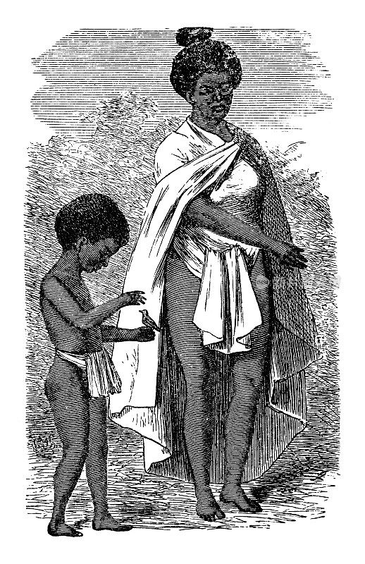 古董插图、民族志和土著文化:毛利人