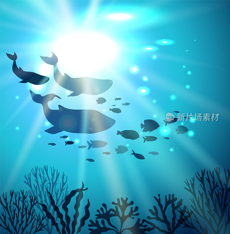 可爱的蓝鲸、海豚、鱼和珊瑚。6月8日世界海洋日。热带方形海报，水下世界和海洋动物的景观。矢量插图设计，装饰，传单。