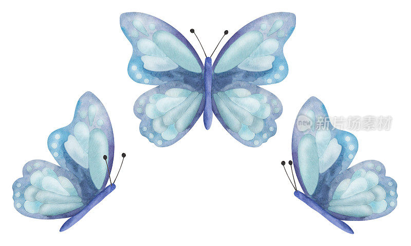 水彩插图的手绘蓝色蝴蝶与展开的翅膀。黑脉金斑蝶。飞虫飞蛾。孤立的白色自然夹艺术织物纺织，墙纸，明信片，贴纸