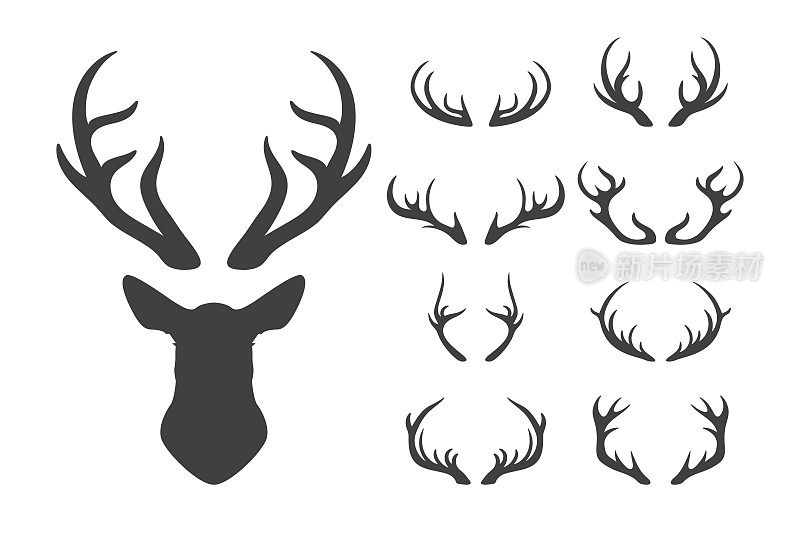 矢量驯鹿角，鹿角。鹿剪影。手绘鹿角，鹿角，头套。动物鹿角收藏。鹿的设计元素。野生动物猎人，潮人，圣诞节和新年的概念