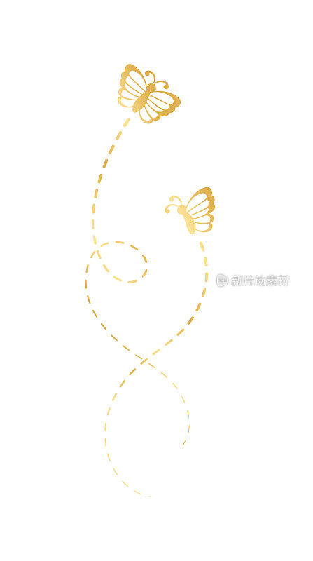虚线飞行路线的金蝴蝶。优雅的金色蝴蝶痕迹。矢量设计元素的春季和夏季。