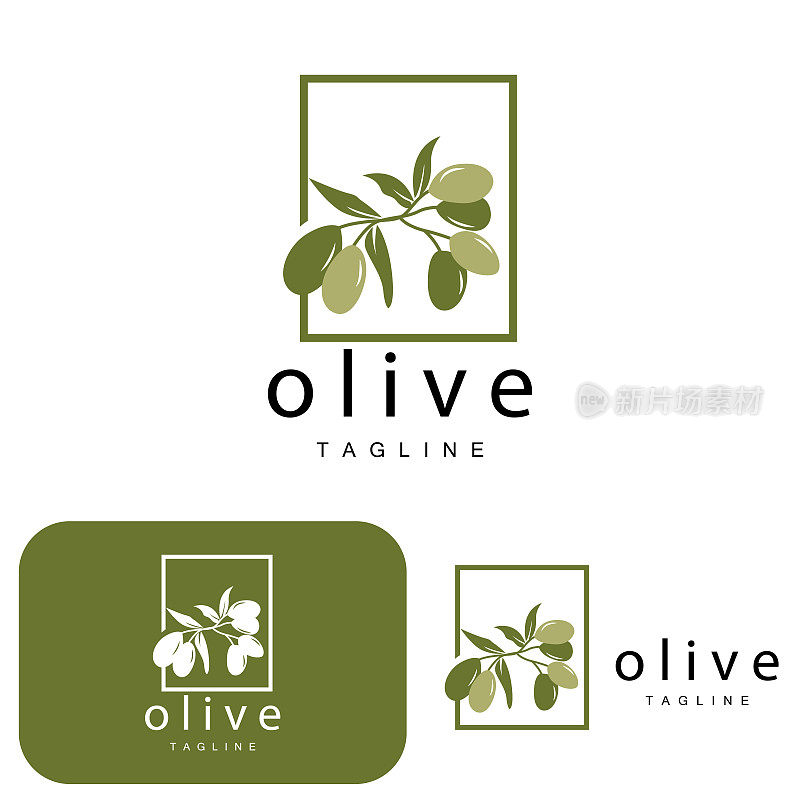 橄榄标志，橄榄油植物矢量，天然草药保健药物设计，插图模板图标