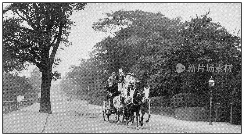 1897年的运动和消遣:马车