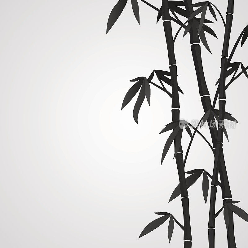 白色背景，黑色竹茎