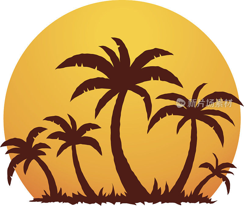 棕榈树和夏日日落