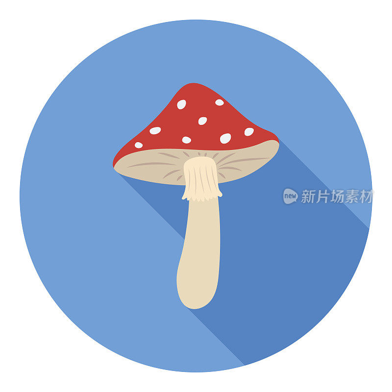 鹅膏图标在平风格孤立的白色背景。蘑菇