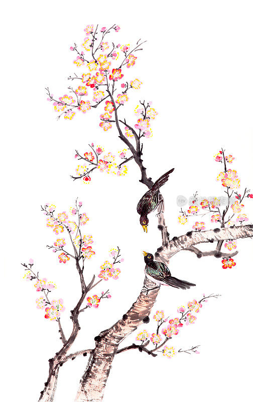 中国传统的梅花画