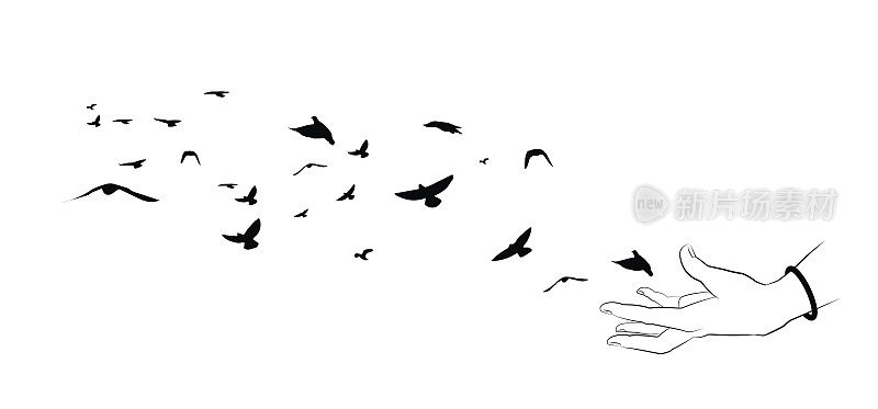 飞翔的小鸟和白色背景上的手的剪影。矢量插图。孤立的鸟飞和手。绘画解剖学。